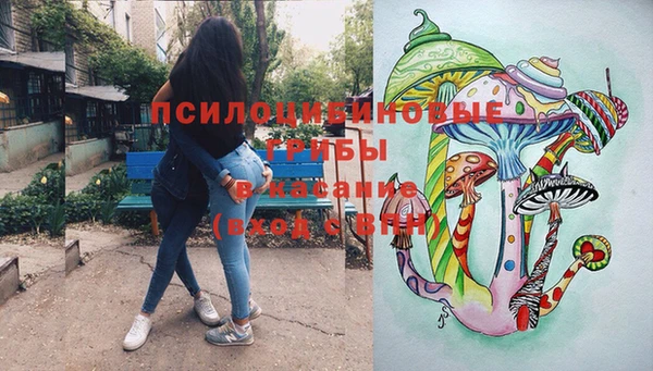 таблы Вяземский